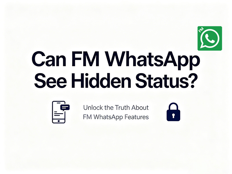 Can FM WhatsApp See Hidden Status?