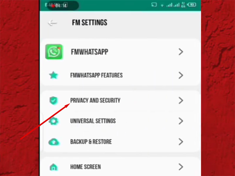 Can FM WhatsApp See Hidden Status?