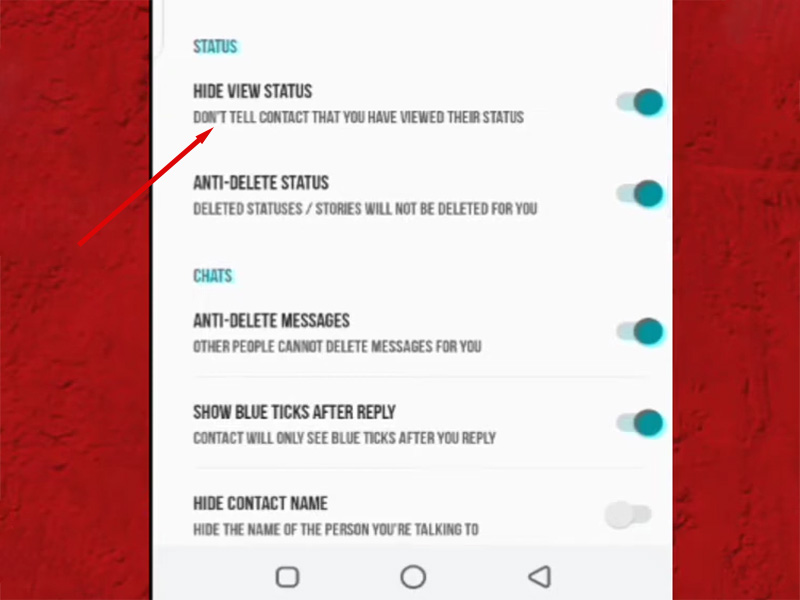 Can FM WhatsApp See Hidden Status?