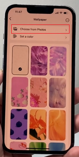 Can Change WhatsApp Background for Everyone in Chat?