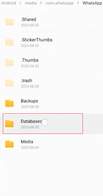 How to Recover Deleted WhatsApp Messages Without Backup?